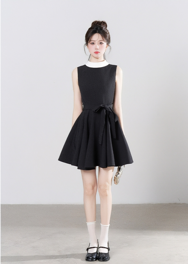 CONTRAST COLLAR FLARE DRESS