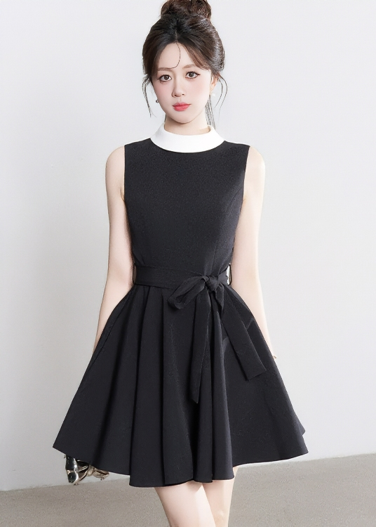 CONTRAST COLLAR FLARE DRESS