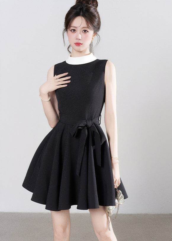 CONTRAST COLLAR FLARE DRESS