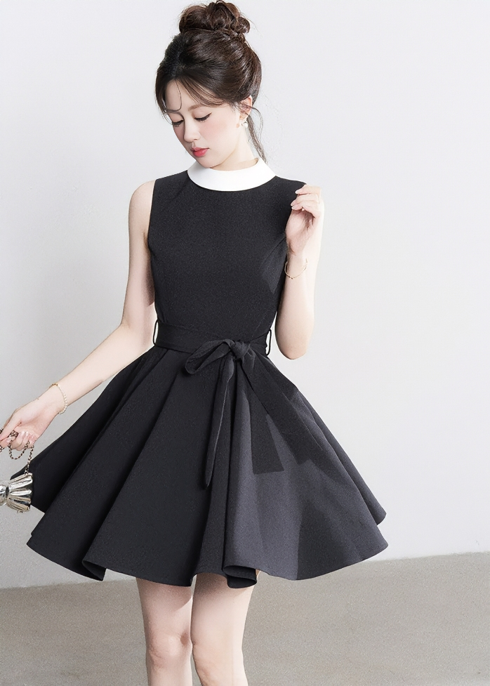 CONTRAST COLLAR FLARE DRESS